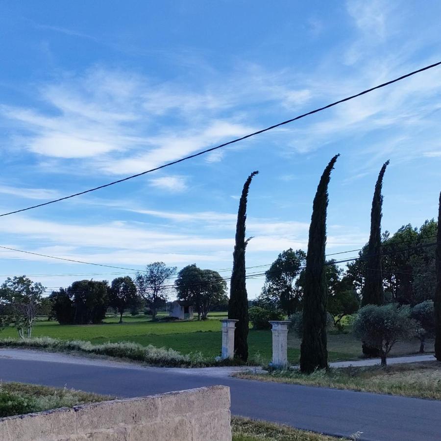 Dans Mas Provencal Holiday home *
